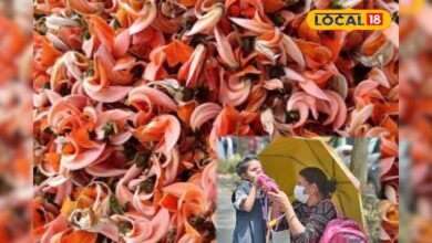 लू से बचने का देसी फॉर्मूला! पलाश के फूलों से बच्चों को मिलेगी ठंडक, गर्मी में है आसान और असरदार बचाव का तरीक