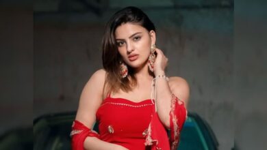 'लूट गया हरियाणा’ से मिली थी दिव्यांका सिरोही को पहचान, गाने को यादकर भावुक हुए फैंस, मंच की बढ़ा देती थीं शान