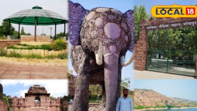 वेस्ट टू वंडर पार्क से कायलाना झील तक! जोधपुर के ये स्पॉट बन रहे पर्यटकों की पहली पसंद