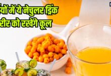 शरीर की गर्मी और पित्त को शांत रखते हैं ये 5 नेचुरल ड्रिंक, अमृत समान इन पेय पदार्थों को पीने से होंगे अद्भुत लाभ