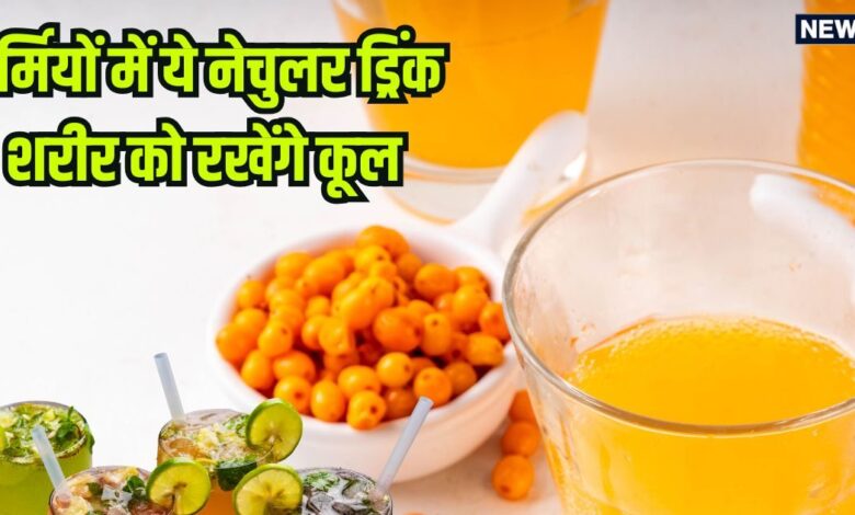 शरीर की गर्मी और पित्त को शांत रखते हैं ये 5 नेचुरल ड्रिंक, अमृत समान इन पेय पदार्थों को पीने से होंगे अद्भुत लाभ