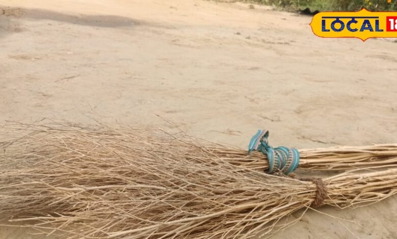 सरसों के डंठल को फेंकना छोड़िए, जानिए इससे कैसे होगी अच्छी कमाई, बस इन 5 तरीकों को अपनाइए - Uttar Pradesh News