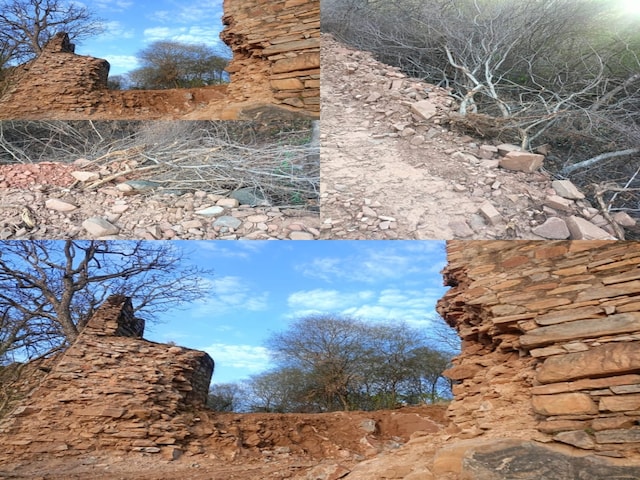 सरिस्का में सफारी के नाम पर पेड़ों की कटाई, बाला किला की दीवार टूटी, उठे सवाल