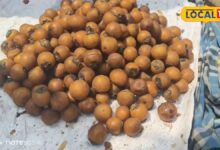 साल में सिर्फ 3 महीने मिलता है ये जंगली फल, खाने से आती है घोडे़ जैसी ताकत, इसके पत्ते से लेकर छाल तक फायदेमंद