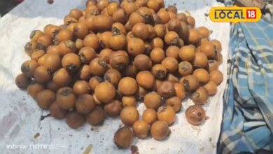 साल में सिर्फ 3 महीने मिलता है ये जंगली फल, खाने से आती है घोडे़ जैसी ताकत, इसके पत्ते से लेकर छाल तक फायदेमंद