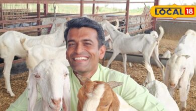 सोजत बकरी पालन बाड़मेर मुनाफे का सौदा | Sojat Goat Farming Barmer Profit