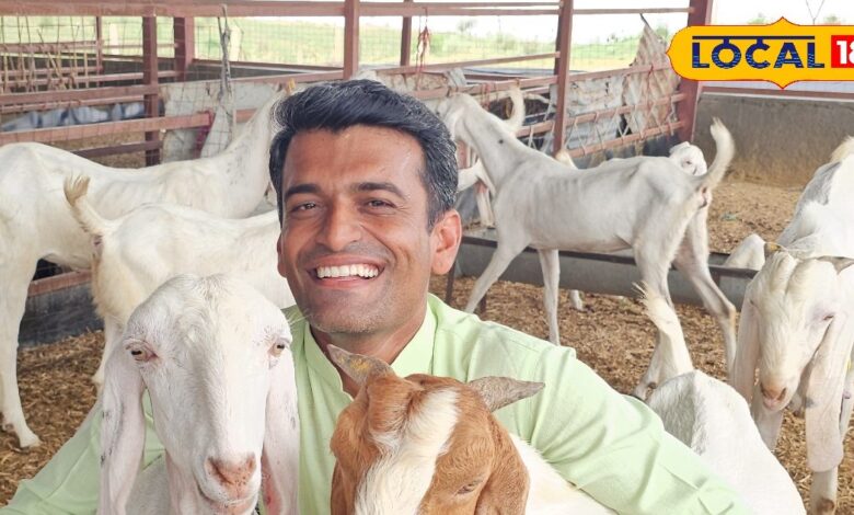 सोजत बकरी पालन बाड़मेर मुनाफे का सौदा | Sojat Goat Farming Barmer Profit