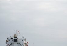 होर्मुज स्ट्रेट में मचा हड़कंप, भारत आ रहे तेल-गैस से लदे 14 जहाजों को ईरान ने रोका, IRGC ने बरसा दी गोलियां