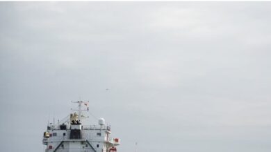 होर्मुज स्ट्रेट में मचा हड़कंप, भारत आ रहे तेल-गैस से लदे 14 जहाजों को ईरान ने रोका, IRGC ने बरसा दी गोलियां