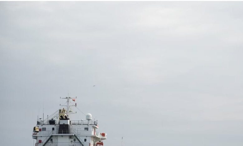 होर्मुज स्ट्रेट में मचा हड़कंप, भारत आ रहे तेल-गैस से लदे 14 जहाजों को ईरान ने रोका, IRGC ने बरसा दी गोलियां