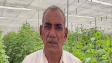 1000 फीट पर सूखा पानी, फिर भी 10 लाख की कमाई! झुंझुनूं के किसान ने नेट हाउस और ड्रिप से बदल दी किस्मत