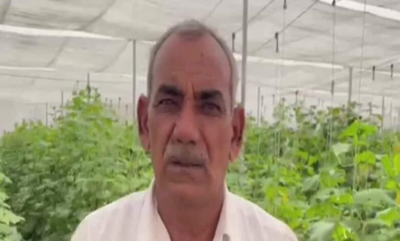 1000 फीट पर सूखा पानी, फिर भी 10 लाख की कमाई! झुंझुनूं के किसान ने नेट हाउस और ड्रिप से बदल दी किस्मत