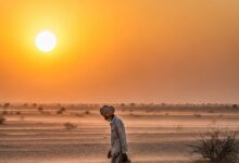 राजस्थान में बढ़ी गर्मी! फलौदी में 42.8°C पहुंचा पारा, कई जिलों में हीटवेव जैसे हालात, IMD का अलर्ट