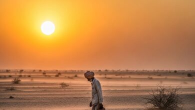 राजस्थान में बढ़ी गर्मी! फलौदी में 42.8°C पहुंचा पारा, कई जिलों में हीटवेव जैसे हालात, IMD का अलर्ट