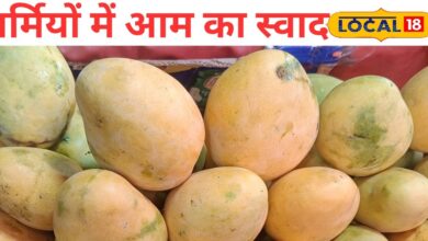 700 रुपये किलो बिक रहा ‘आम का राजा’! जयपुर में हापुस आम की जबरदस्त डिमांड, लगा खास मेला