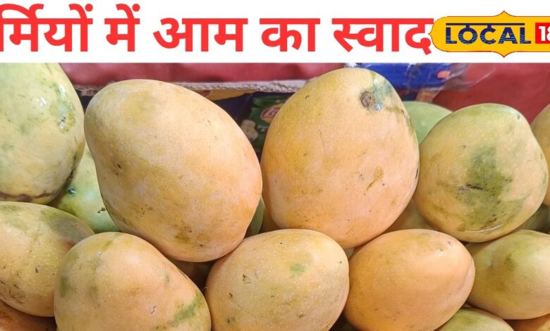 700 रुपये किलो बिक रहा ‘आम का राजा’! जयपुर में हापुस आम की जबरदस्त डिमांड, लगा खास मेला