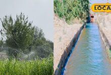 700 से 100 फीट पहुंचा जल स्तर! सीकर के दीपावास में लौटी हरियाली, ऐसे बना राजस्थान का मॉडल विलेज