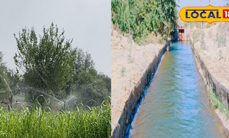 700 से 100 फीट पहुंचा जल स्तर! सीकर के दीपावास में लौटी हरियाली, ऐसे बना राजस्थान का मॉडल विलेज