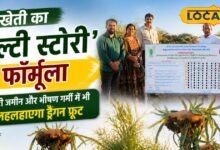 Agriculture Success | खेती का मल्टी स्टोरी फॉर्मूला, खारी जमीन पर खेती | खेती में मुनाफे की ट्रिक