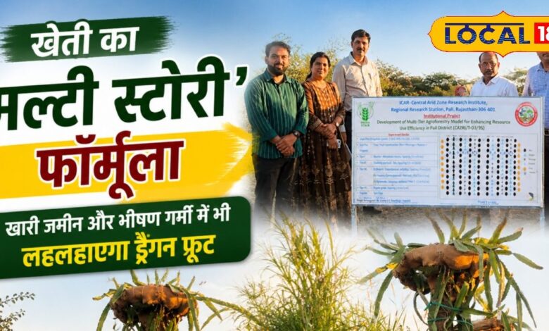 Agriculture Success | खेती का मल्टी स्टोरी फॉर्मूला, खारी जमीन पर खेती | खेती में मुनाफे की ट्रिक