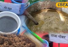 Agriculture Tips: महंगी खाद को कहें बाय-बाय! गाय के गोबर और गोमूत्र से घर पर बनाएं 'सरल संजीवनी', होगी बंपर पैदावार