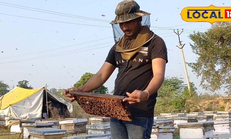 Bharatpur Honey Production | भरतपुर का सरसों शहद उत्पादन | Bharatpur Mustard Honey Production and Export Success