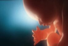 Child Born Twice: Why Infant born Twice| Miracle Birth| दो-दो बार पैदा हुआ एक ही बच्चा मां मनाती है डबल बर्थडे कैसे हुआ ये चमत्कार