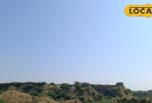 Dholpur News: चंबल के बीहड़ों में अब डकैत नहीं, डर और हंसी का तड़का! नाना पाटेकर की नई फिल्म करेगी बड़ा धमाका