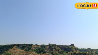Dholpur News: चंबल के बीहड़ों में अब डकैत नहीं, डर और हंसी का तड़का! नाना पाटेकर की नई फिल्म करेगी बड़ा धमाका