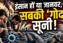 Fertility Crisis in India & World | इंसानी स्पर्म और अंडों पर भारी पड़ रहा है प्लास्टिक का जहर, वैज्ञानिकों ने दी फर्टिलिटी संकट की भयानक चेतावनी