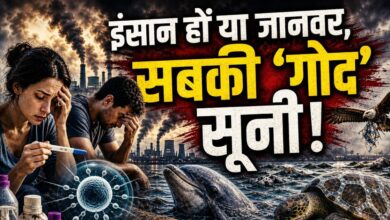 Fertility Crisis in India & World | इंसानी स्पर्म और अंडों पर भारी पड़ रहा है प्लास्टिक का जहर, वैज्ञानिकों ने दी फर्टिलिटी संकट की भयानक चेतावनी