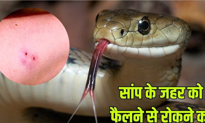 First Aid For A Snakebite: सांप के काटने पर जहर को शरीर में फैलने से रोकने का उपाय