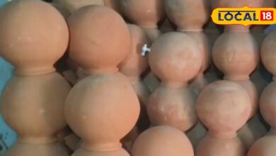 Fridge vs Matka | धौलपुर में मटका उद्योग संकट में