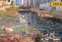 Ground Report Dholpur | Dholpur News