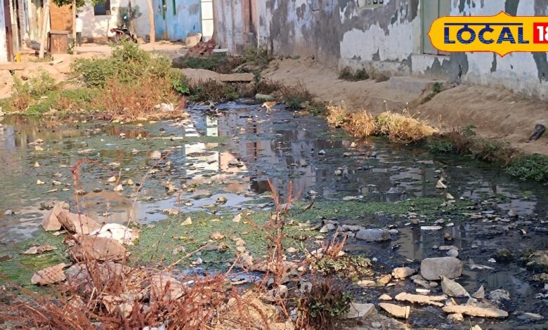 Ground Report Dholpur | Dholpur News