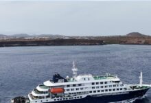 Hantavirus MV Hondius cruise news| MV Hondius cruise hantavirus scare| cruise passengers flee screening news|