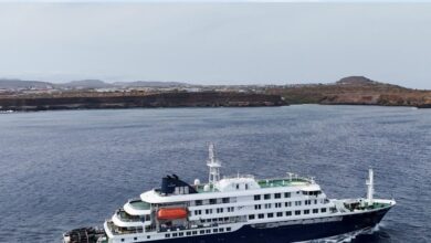 Hantavirus MV Hondius cruise news| MV Hondius cruise hantavirus scare| cruise passengers flee screening news|