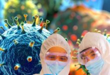 Hantavirus Outbreak Issue: Hantavirus New Strain| WHO On Hantavirus| कोरोना वाली तबाही लाएगा हंतावायरस WHO ने बताया क्यों खतरनाक है नई स्ट्रेन