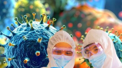 Hantavirus Outbreak Issue: Hantavirus New Strain| WHO On Hantavirus| कोरोना वाली तबाही लाएगा हंतावायरस WHO ने बताया क्यों खतरनाक है नई स्ट्रेन