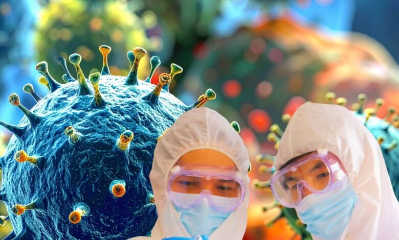 Hantavirus Outbreak Issue: Hantavirus New Strain| WHO On Hantavirus| कोरोना वाली तबाही लाएगा हंतावायरस WHO ने बताया क्यों खतरनाक है नई स्ट्रेन