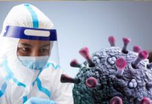Hantavirus Update: कोविड के बाद क्या हंता वायरस बरपाने वाला है महामारी बनकर कहर? WHO ने तोड़ी चुप्पी, जानें जवाब