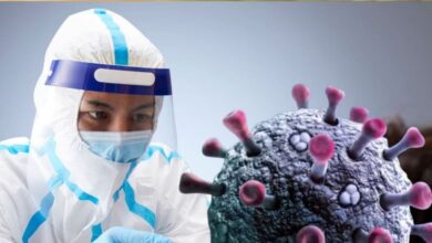Hantavirus Update: कोविड के बाद क्या हंता वायरस बरपाने वाला है महामारी बनकर कहर? WHO ने तोड़ी चुप्पी, जानें जवाब