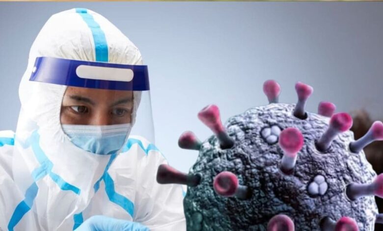 Hantavirus Update: कोविड के बाद क्या हंता वायरस बरपाने वाला है महामारी बनकर कहर? WHO ने तोड़ी चुप्पी, जानें जवाब
