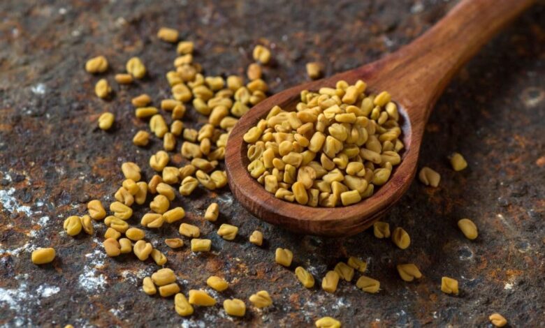 Health Tips : क्या मेथी के दाने शरीर में और गर्मी बढ़ाते हैं? शुगर कम करने के चक्कर में कहीं बीपी तो नहीं बढ़ा रहे आप