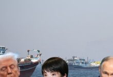 Japan Buy Oil From Russia: दोस्त से गद्दारी? होर्मुज संकट के आगे मजबूर हुआ अमेरिका का जिगरी यार, रूस से 4 साल बाद खरीदा तेल
