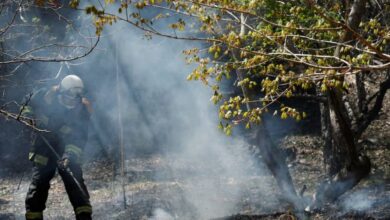 Japan Wildfire: 11 दिन से धधक रहे थे जापान के जंगल 1633 हेक्टेयर खाक होने के बाद आग पर काबू