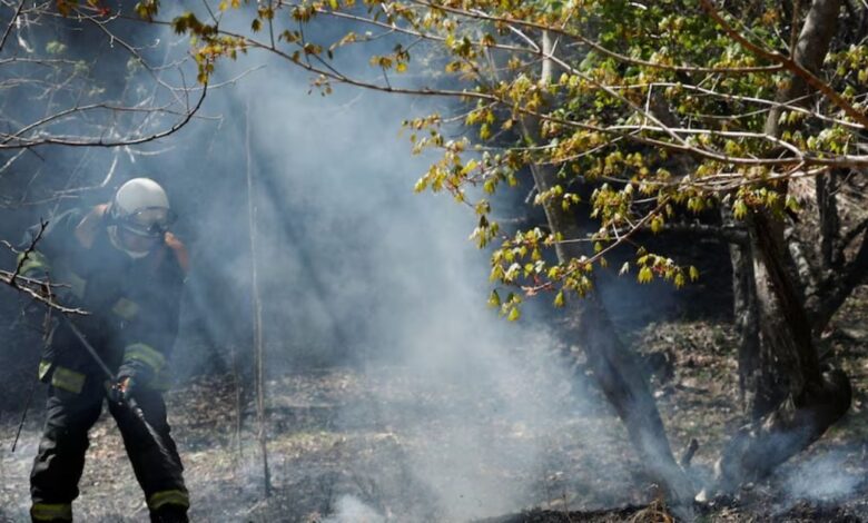 Japan Wildfire: 11 दिन से धधक रहे थे जापान के जंगल 1633 हेक्टेयर खाक होने के बाद आग पर काबू