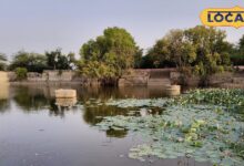 Kalyan Sagar Bikaner | बीकानेर का कल्याण सागर तालाब