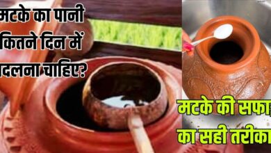 Kitchen Hack: बिना मटका धोए कितने दिन तक पी सकते हैं इसमें रखा पानी? जानें मिट्टी के घड़े की सफाई का सही तरीका और सावधानी