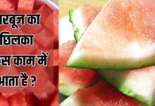 Kitchen Tips: कचरा नहीं तरबूज का छिलका! जापान में खरीदकर घर ले जा रहे लोग, कारण जान चौंक जाएंगे